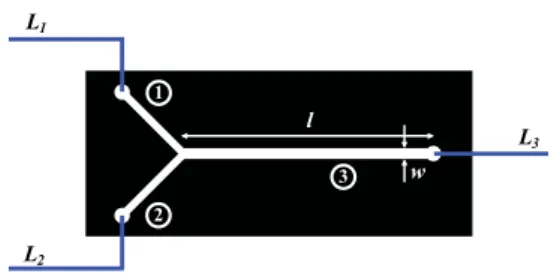 FIG. 8. (Color online) Dimensions of the fabricated microchannel. The length l, width w, and average height h for channel sections 1, 2, and 3 are l 1 = l 2 = 0.71 cm, l 3 = 2 cm;