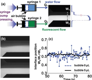 FIG. 1. (Color online) (a) Schematic diagram of experimental setup. Fluids are introduced with ﬂow rates of Q 1 and Q 2 into a Y-shaped ﬂow comparator and form two distinct streams showing widths of W 1 and W 2 , respectively