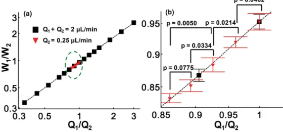 FIG. 5. (Color online) Correlation between Q 1 /Q 2 and W 1 /W 2 . Squares, data points for Q 1,0 + Q 2,0 = 2 μL/min; inverted triangles, data points for ﬁxed Q 2,0 = 0.25 μL/min