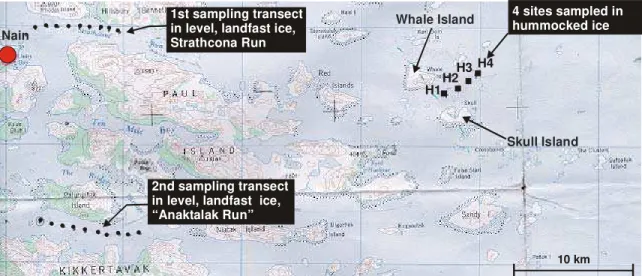 Figure 1 shows where the location of the four sites in the hummocked ice (denoted by  an ‘H’) in relation to the sampling sites in level, landfast ice reported in Johnston  (2005)