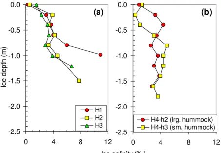 Figure 4  Salinity of ice at (a) sites H1, H2 and H3 and (b) site H4 