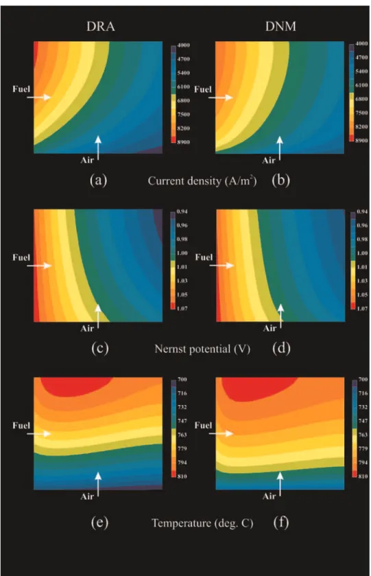 Figure 4. Single cell, plan view, potentiostatic condition, V ¼ 0.75 V.