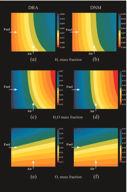 Figure 5. Single cell, plan view, potentiostatic condition, V ¼ 0.75 V.