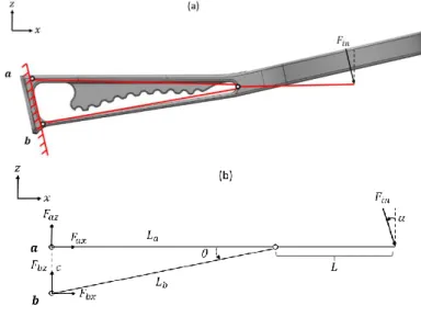 Figure 2: (a) Shows the simplified structure imprinted  on the original brush, (b) is the structure with labeled  dimensions and angles used in the following analysis as  well as a free-body diagram of the structure with  resultant forces