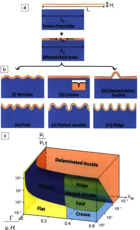 Figure  1-4:  (a)  schematic  showing a process  by which  to  apply pre-stretch  to  a  bilayer system