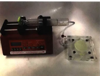 Figure  2-2:  Photograph  of the  experimental  setup  used to pressurize  and  depressurize the  bilayer  system