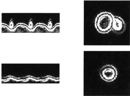 Figure  8:  An  example  polar  plot  of two  yeast  cells  calculated  from  the  gradient  image