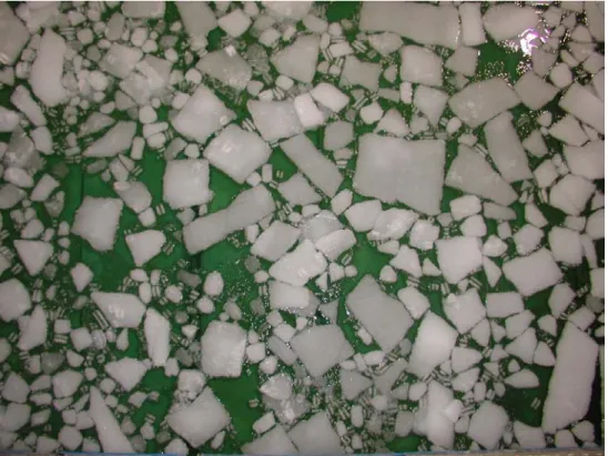 Figure 9: Low concentration pack ice 