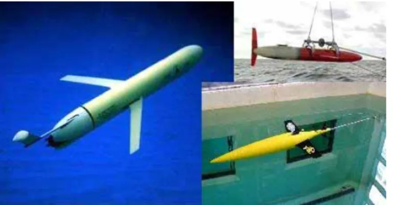 Figure 1:  Left Slocum Glider, Top Right Spray Glider,  Bottom Right Seaglider 