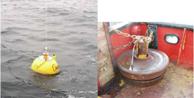 Figure 2: Datawell Directional Wave Buoy and Anchor 