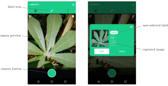 Figure 4-2: Annotating an image with a label. The left shows the camera taking a picture of a healthy cassava leaf
