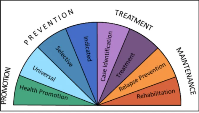 Figure 1: IOM Continuum of Care Model 