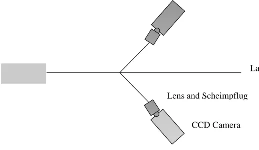 Figure 3 shows a schematic diagram for the primary arrangement of two cameras and a  light sheet module