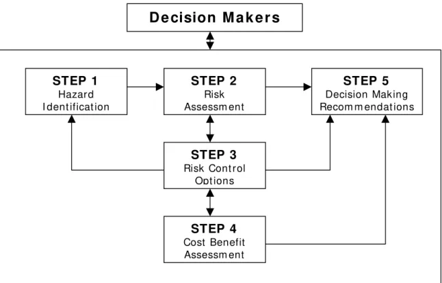 Figure 1. Flow chart of the FSA process [5]. 