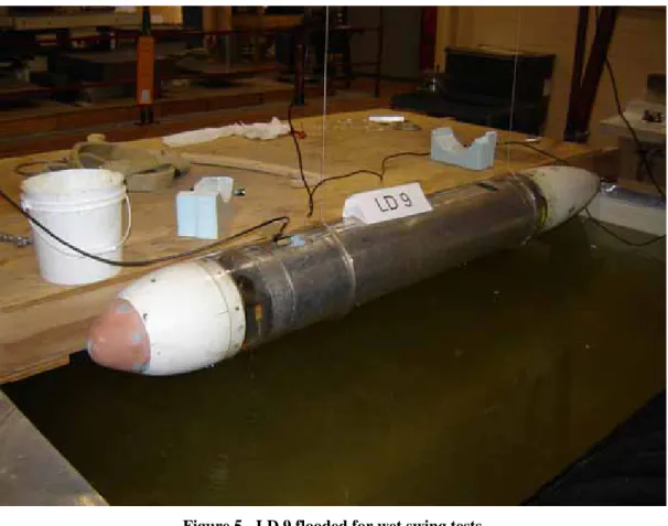 Figure 6 - LD 10 hanging for dry swing tests 