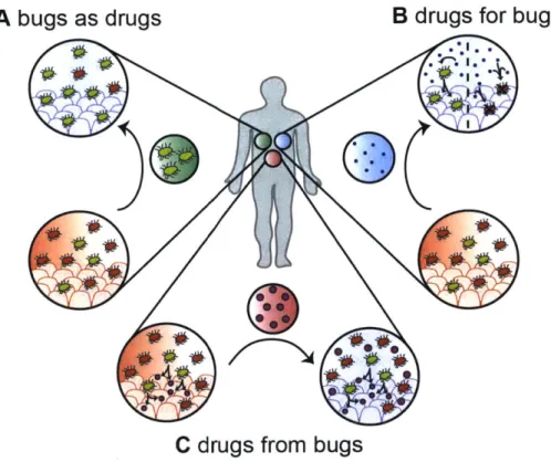 Figure  1.1:  Approaches for microbiome-inspired  therapeutics