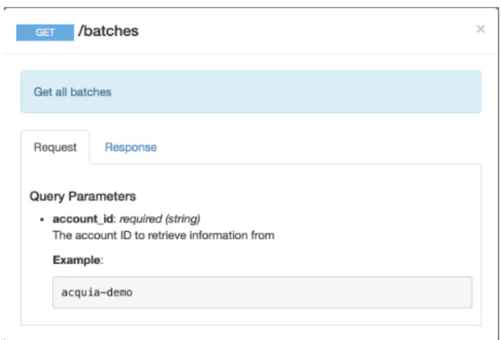 Figure 4-2: RAML Request Spec