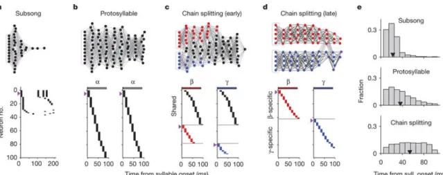 Figure 2-2: Activity in neural model of sequence formation and splitting throughout learning