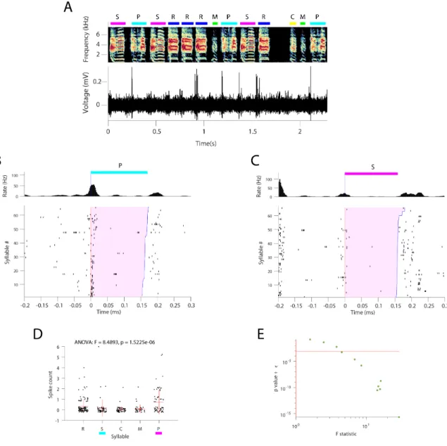Figure 3-8: During tutoring, some NIf neurons burst selectively before certain syllable types
