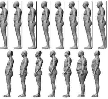 Fig. 17. Correlation between the third mode of variation and the waist/hip circumference ratio