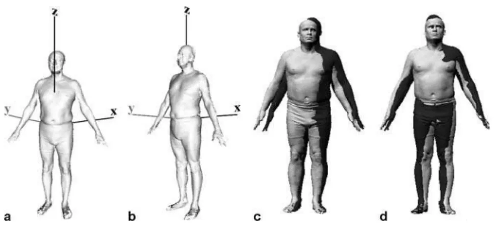 Fig. 4. Segmentation of the feet and hands