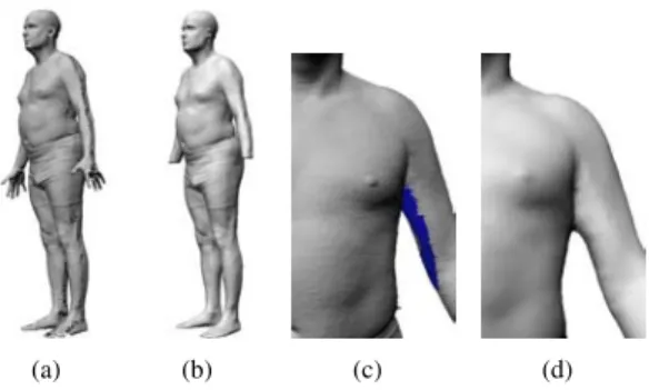 Figure 2. Reconstruction of human models using the first 64 eigenvectors extracted from the volumetric representation of 300 male subjects