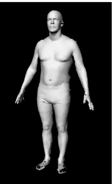 Fig. 4. An example of a realistic virtual mannequin corresponding to  the Large clothing size