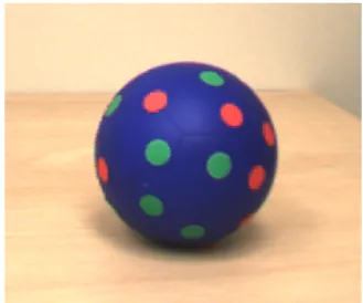 Figure 1: Sphere to be tracked in the video stream.