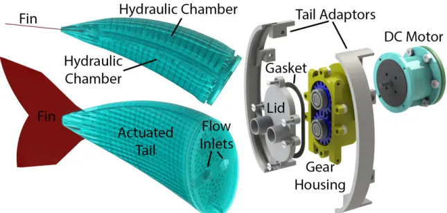 Figure 3-16: Renderings of actuated soft fish tail and custom-made gear pump. Left: