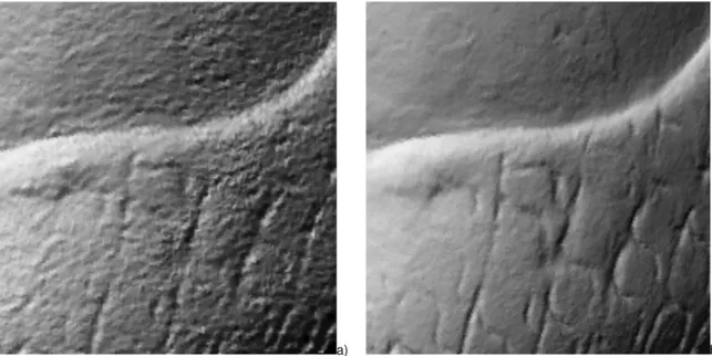 Fig. 10 - Close-ups (∼ 25 mm × 25mm), a) shaded view created from the 3D data acquired with a Minolta 900 (tele-lens), b) shaded  view created from the 3D data acquired with a ShapeGrabber SG-102 head mounted on a translation stage