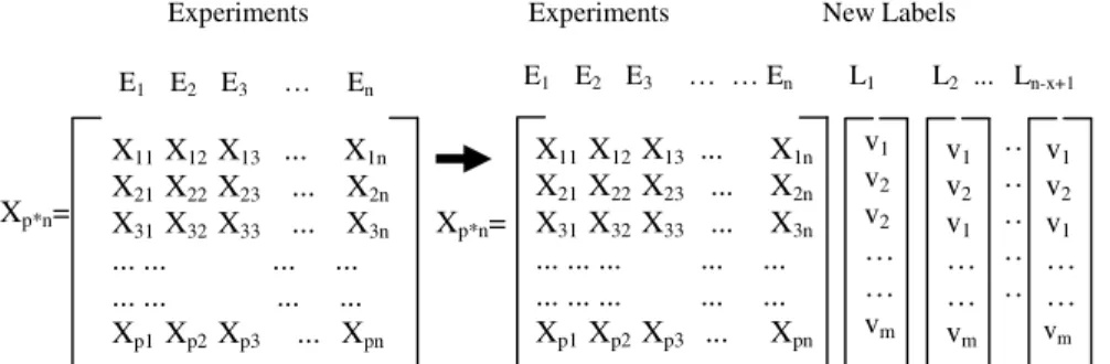 Fig. 1. Left side of the figure shows the initial structure of the data matrix and right side of the figure  shows the structure of the data matrix with the list of all clusters obtained with the assigned labels        