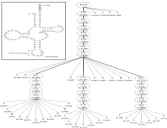 Figure 8. The node-weighted tree representation of  the mature tRNA.Tyr