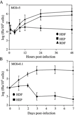 Fig. 2. MV infection of primary HDF is productive. HDF, HEP, and RDF were infected with vMyxlac and viral replication assessed by titration of infectious progeny on BGMK cells