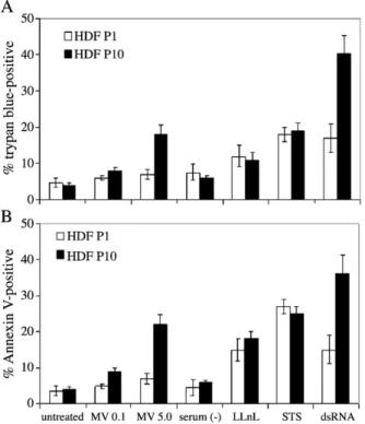 Fig. 4. High-passage HDFs exhibit increased sensitivity to dsRNA. Low (P1)- and high (P10)-passage HDFs were subjected to various stress stimuli and cell viability assessed at 12 h posttreatment by trypan blue exclusion (A) or FACS detection of Annexin V s