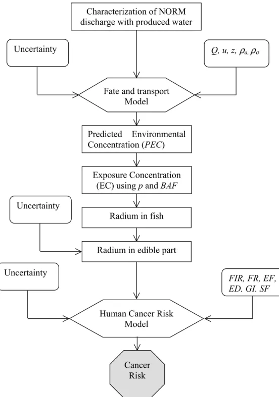 Figure 1. Human health risk assessment framework for NORM in produced water 