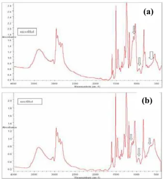 Figure 2. FTIR Absorption spectra for TiO 2