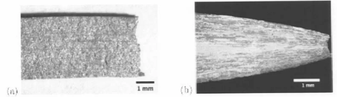 Figure 7 Micrographs are shown for (a) the surface of a 5083 tensile coupon at the failure region and (b) the etched cross-section of a failed tensile coupon of the AI-2.8Mg binary alloy [14].