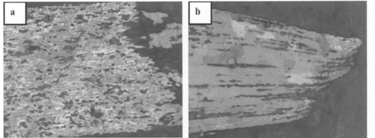 Figure 8 Optical image showing the grain structure near the fracture surface for AA5083 samples tested at 450°C at a strain rate of (a) 0.0005/s and (b) 0.1/s [21].