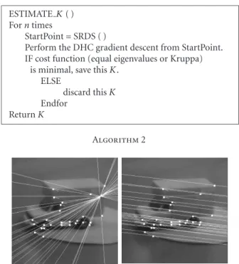 Figure 3: Two epipolar geometries that support a feature match set, yet only one can be correct [32].