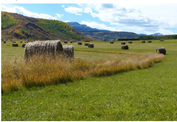 Figure 8: Routt County, Colorado (Source: co.routt.co.us, Colorado Cattlemen's Ag. Land Trust) 