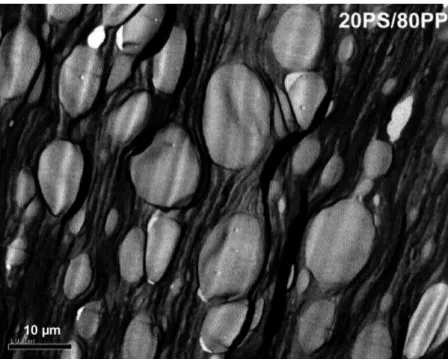 Fig. 4. Bright field TEM image of (20/80) PS/PP blend in which white ellipsoids correspond to the dispersed PS domains.