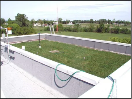 Figure 2  An extensive GRS installed on the Field Roofing Facility in the NRC campus in Ottawa  (2002)