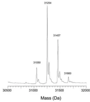 FIG. 4. Identification of glycosylation site by alkaline hydrolysis and tandem mass spectrometry
