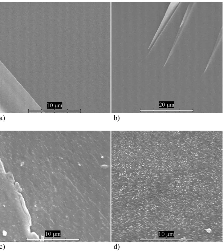 Fig. 2 Microstructure of the fracture surface of LS-P 2 O 5 -CaO