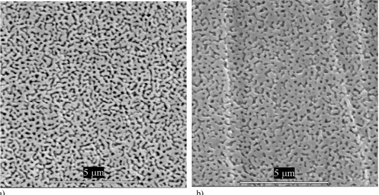 Fig. 7  Comparison of microstructures of the NBS glasses after the phase separation at 700°C:  