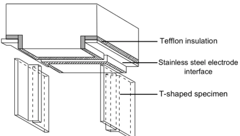 Figure 4.  Detail of “T-shaped” specimen-electrode connection interface 