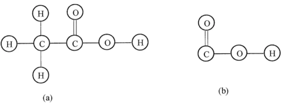 Figure 3.7 Subgraph  relation between  acetic  acid  and acid functional  group