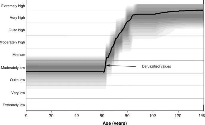 Fig. 6.  Fuzzy risk levels over the life of a pipe 