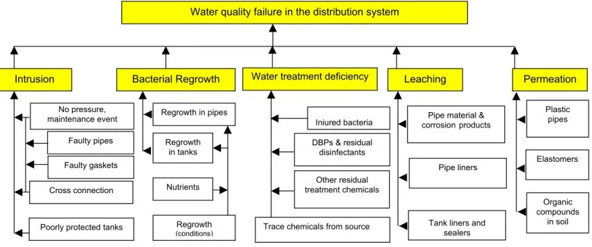 Figure 1. Contamination pathways in water distribution systems (modified after Kleiner, 1998) 