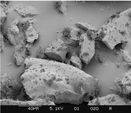 Figure 7. The Opal starting material at 500 x 